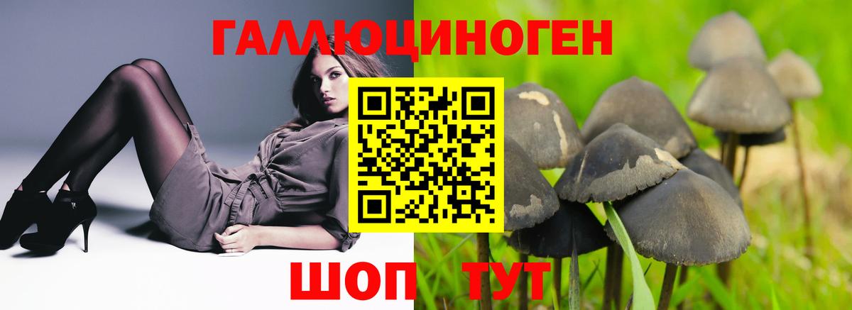 купить  цена  Галлюциногенные грибы Magic Shrooms  Галлюциногенные грибы MAGIC MUSHROOMS  Вход с VPN  Карасук 