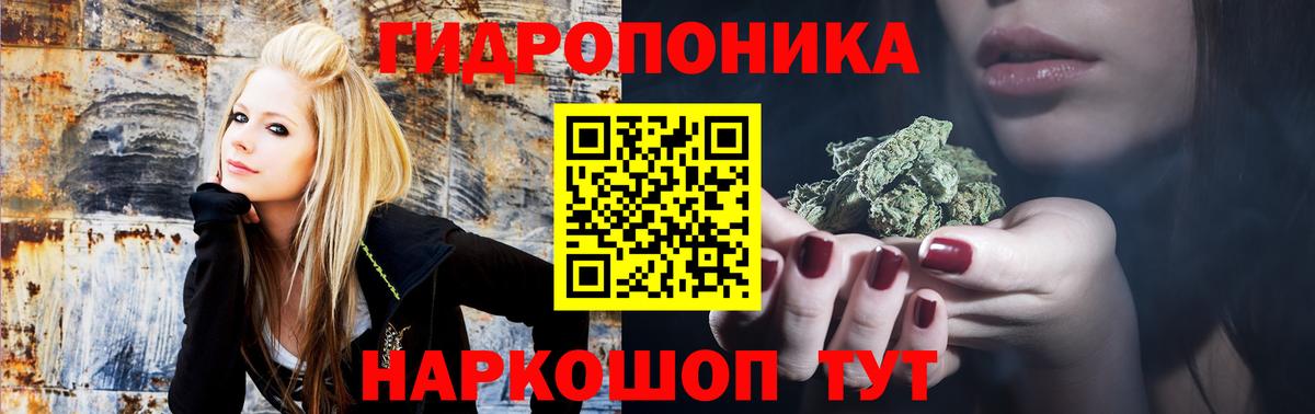 Шишки марихуана THC 21% Карасук
